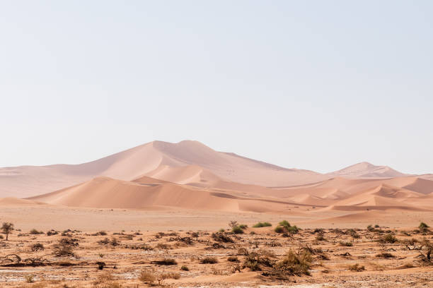 istock Desert landscape near Sossusvlei 1496315748
