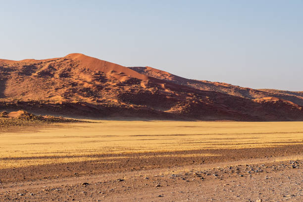 istock Desert landscape near Sossusvlei 1496315749