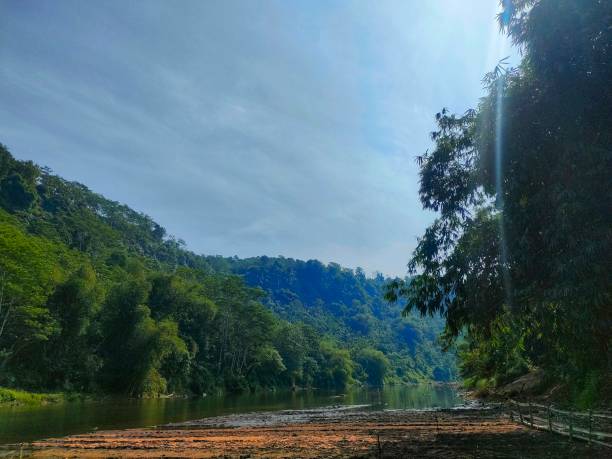 istock Rivers, hills and forests 1496318983