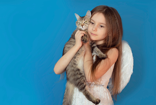 Close-up of portrait of beautiful cheerful girl with cute gray cat in her arms. Friendship, love for pets. Concept of animal protection. Take cat from shelter.
