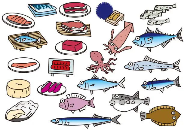 Vector illustration of A variety of seafood ingredients that we eat almost every day for our health.