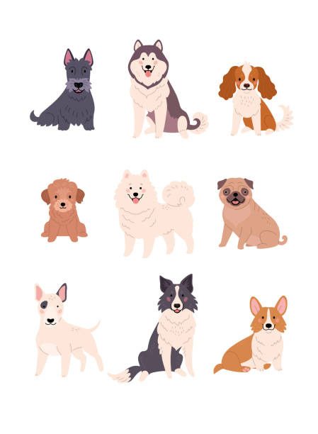 kolekcja psów. - dog mixed breed dog puppy white background stock illustrations