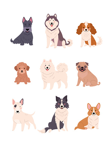 Vector illustration of funny cartoon diverse breeds dogs in trendy flat style. Isolated on white.