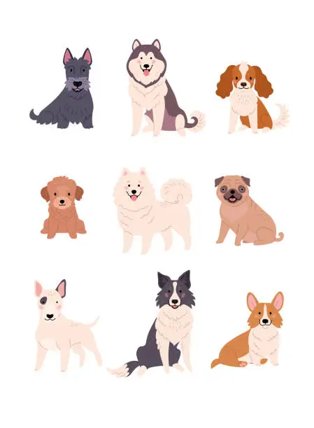 Vector illustration of Dogs collection.