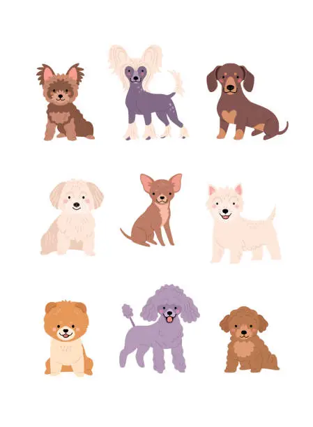 Vector illustration of Cute Dogs collection.