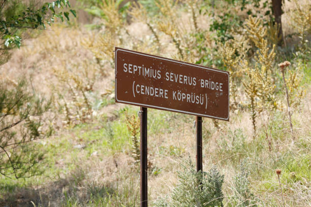 istock Aerial view of the Severan Bridge 1496324465