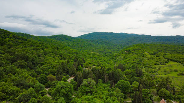 istock Green hills in Georgia, nature 1496324631