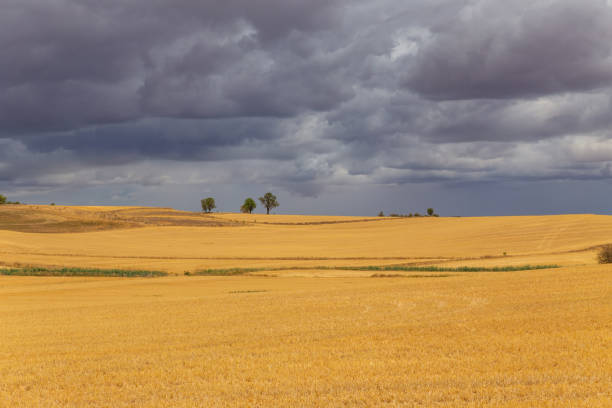 istock view of a crop field in Spain 1496326217