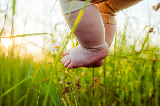 Toddlers feet in the grass with natural sunlight. Infant legs on natural background. Baby's body parts. Cute little fingers