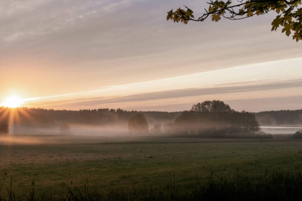 istock morning mist over the lake, rustic landscape 1496332625