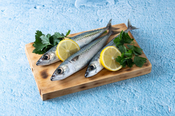 istock Raw mackerel fish salt around on blue background 1496335787