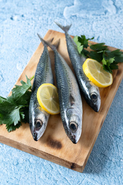 istock Raw mackerel fish salt around on blue background 1496335807