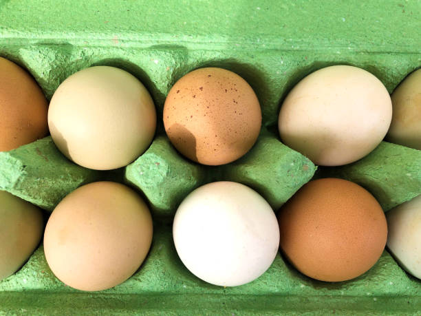 Carton of Brown and Yellow Eggs, Overhead View
