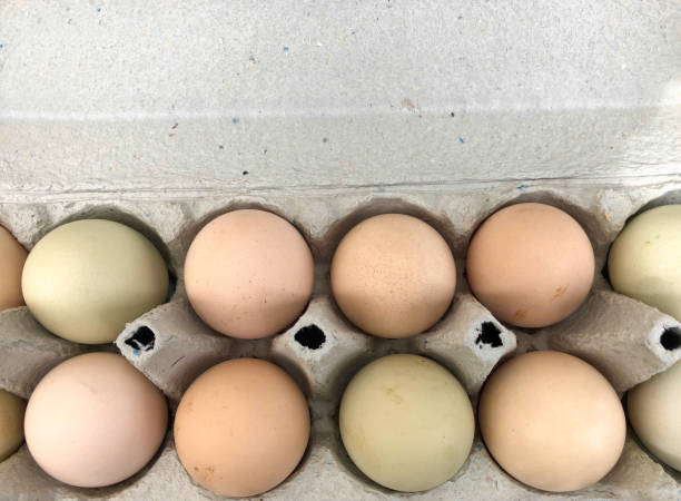 istock Carton of Brown and Yellow Eggs, Overhead View 1496342382