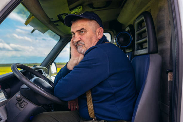 istock Professional driver driving a truck on the road. 1496346512
