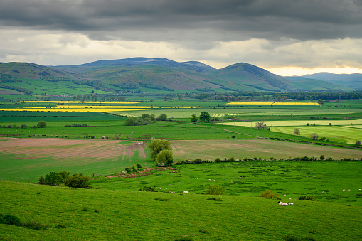 Viewed from Doddington Moor, Milfield Plain is in Glendale and was once an ancient lake and is now flat farmland