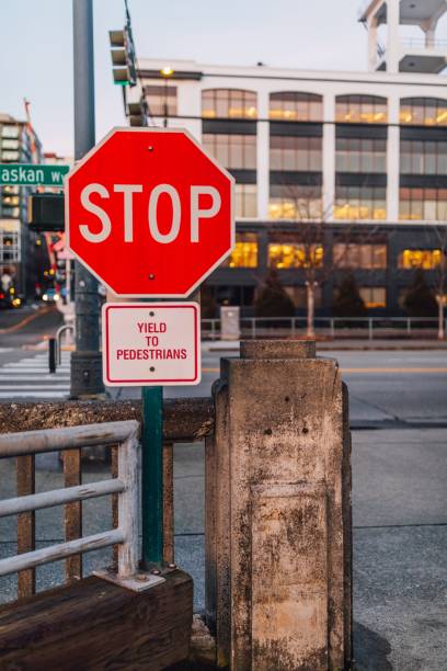 istock Stop, Yield to Pedestrian street sign 1496349793