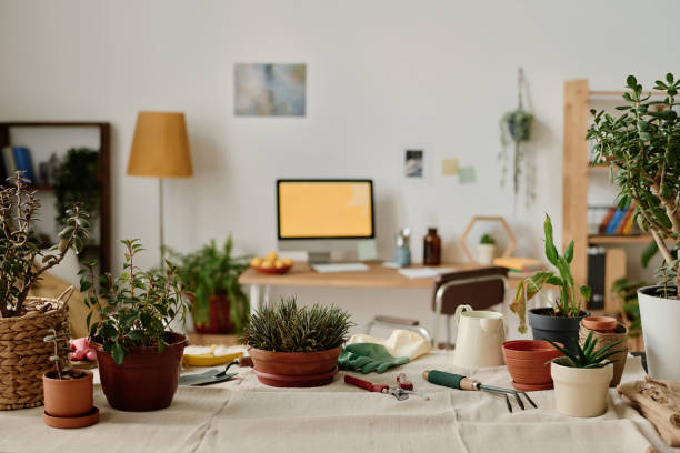 istock Transplanting green plants in pots 1496351740