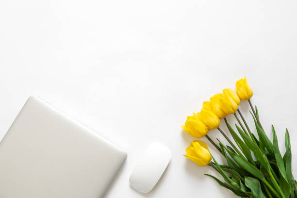 A bouquet of bright yellow tulips, a laptop and a computer mouse isolated on a white background, top view, space for text.