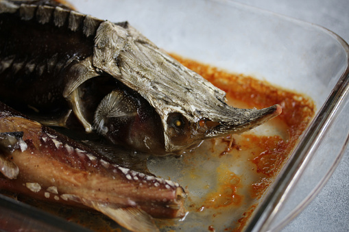 Sturgeon fish prepared in transparent glassware cooking pot. Grilled fish.