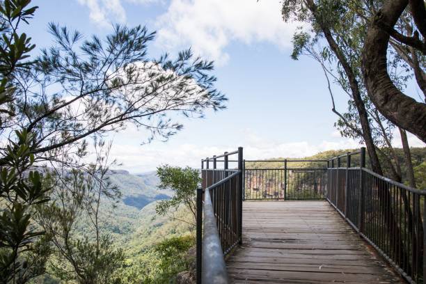 istock a wooden boardwalk with railing overlooking a forested hillside area and water feature 1496367052