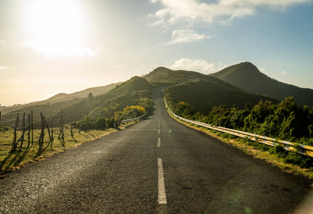 istock Road leading towards mountains. Surrounded by lush green foliage 1496371952