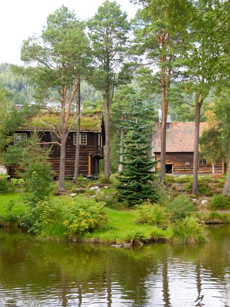 istock a brown log house and pond surrounded by trees and grass 1496373572