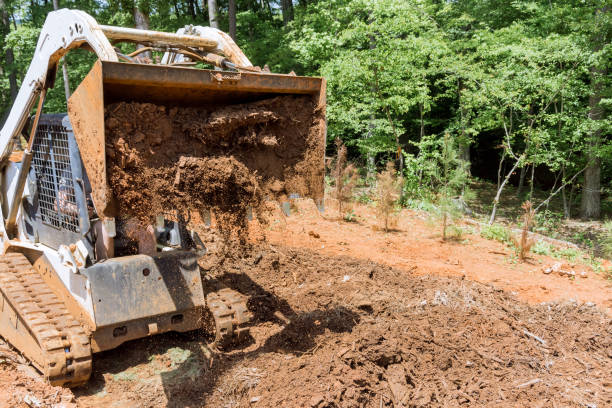 istock Planning work site on improvement of tractor prepares courtyard territory 1496375735