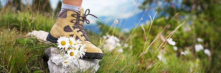 Close up of a woman foot in a hiking shoe and a bunch od daisies on a mountain trail