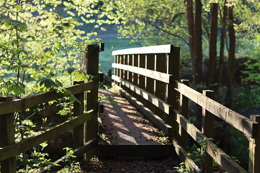 Wooden foot bridge over a woodland river in morning sunshine