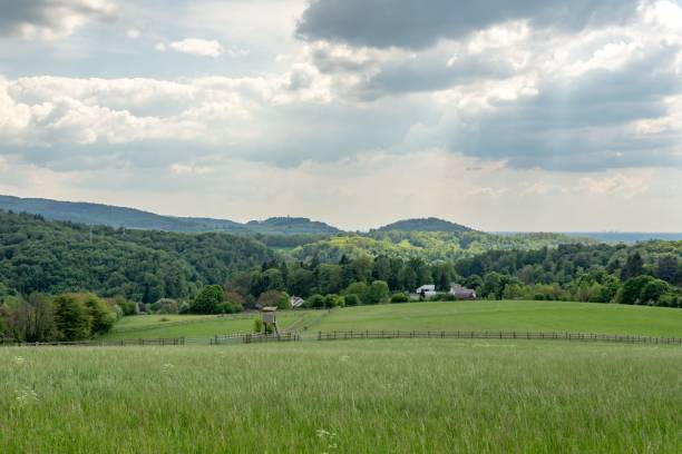 istock an open field with green trees and grass in the foreground 1496383578