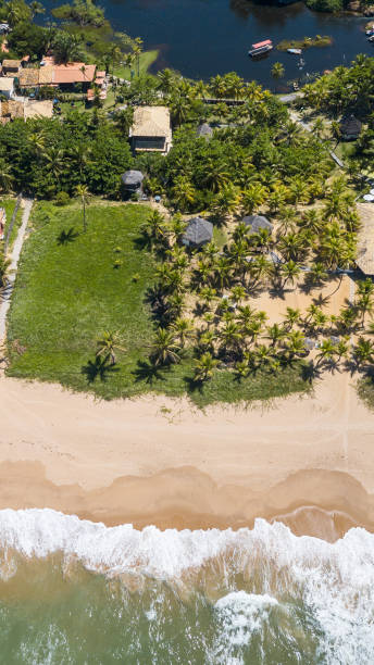 istock Imbassai Beach, Bahia. Aerial view. 1496383658