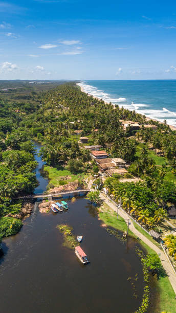 istock Imbassai Beach, Bahia. Aerial view. 1496383785