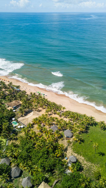 istock Imbassai Beach, Bahia. Aerial view. 1496383836