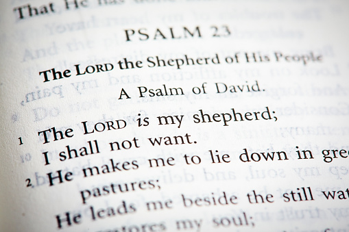 Psalm 23: The Lord is my shepherd, I shall not want.