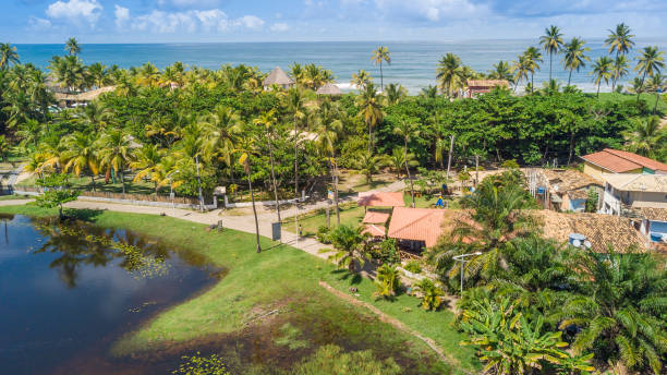 istock Imbassai Beach, Bahia. Aerial view. 1496384898