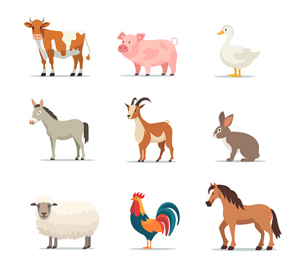 Set of Farm animals isolated on white background. Cow, Pig, Duck, Donkey, Goat, Rabbit, Sheep, Rooster, Horse farm animal. Vector stock