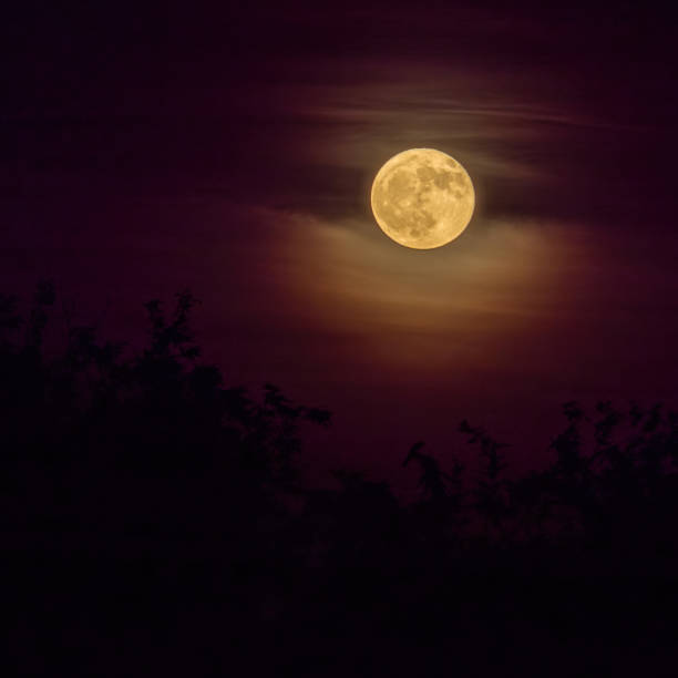 istock spooky yellowish full moon and dark clouds 1496393267