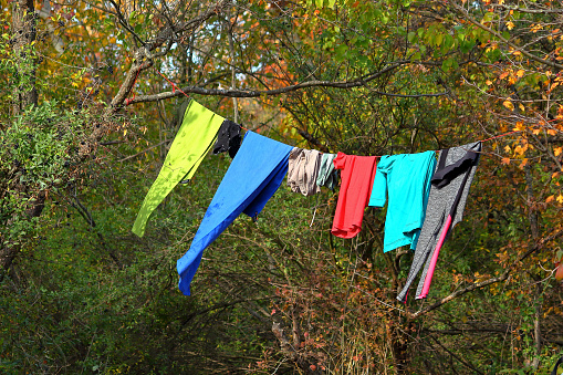 Laundered linens is dried on a rope among trees in the forest. Tourist lifestyle