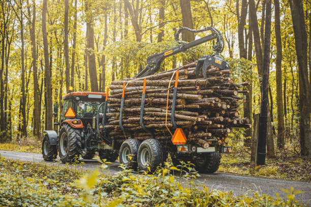 istock Forwarder tractor for wood transport 1496393778