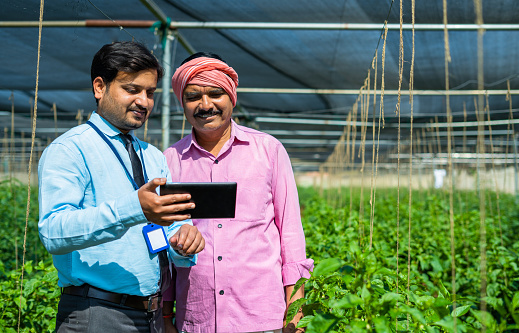 Indian banker or officer explaining crop growth on digital tablet to farmer at greenhouse - concept of support or advice, technology and expertise