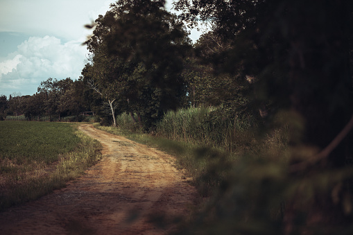 Country road with tractor tracks