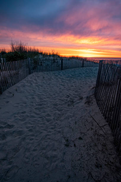 Sunrise over the beach access through the sand dunes – Ocean City, Maryland A colorful sunrise over the beach access path between the sand dunes in Ocean City, Maryland eastern shore sand sand dune beach stock pictures, royalty-free photos & images