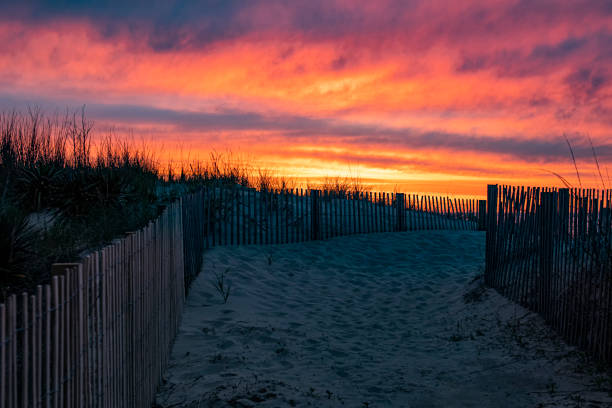 Sunrise over the beach access through the sand dunes – Ocean City, Maryland A colorful sunrise over the beach access path between the sand dunes in Ocean City, Maryland eastern shore sand sand dune beach stock pictures, royalty-free photos & images