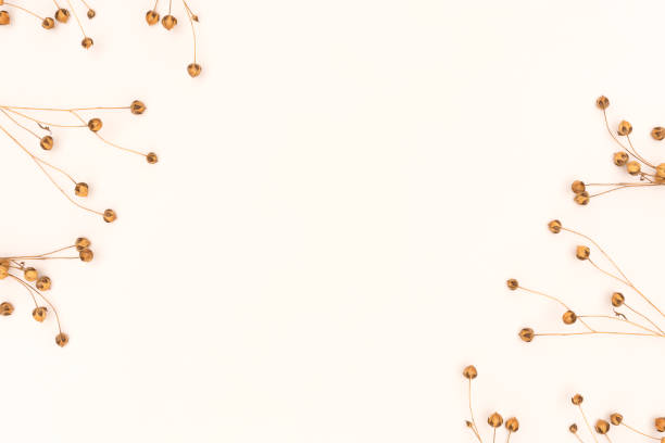 istock Frame made of dried flax flowers on a beige background with copy space. 1496412020