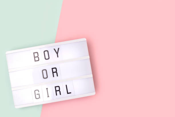 istock Boy or girl. Lightbox with letters on a pink and blue background. 1496412128