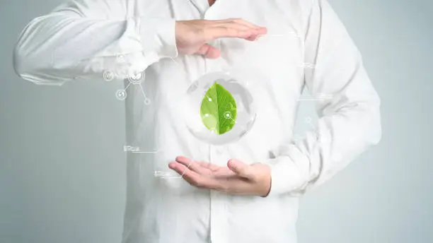 Sustainable green small plant leaf in crystal transparent globe eco savings researcher hand background. World Environment Day and Earth Day concept. Business people eco friendly conservation and ESG.