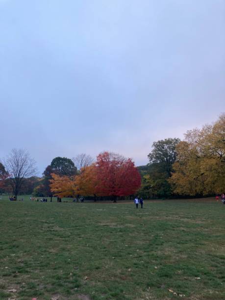 istock Autumn in Brooklyn, NY 1496413689