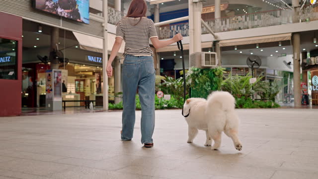 Woman with her Samoyed walking in the pet friendly mall.