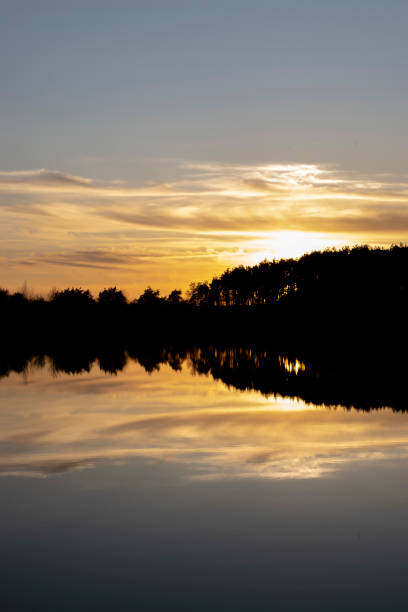 Atmospheric sunset behind trees and reflection in water. stock photo